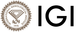 igi_logo_Logo 1