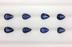 Parcel DS050 pear med