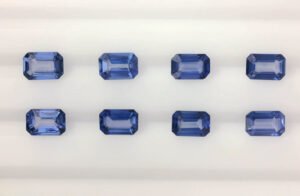 Parcel DS219 oct light