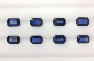 Parcel DS219 oct dark