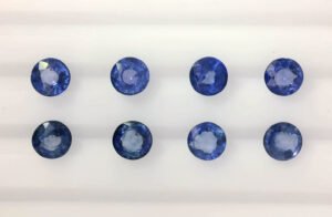 Parcel DS401 round light