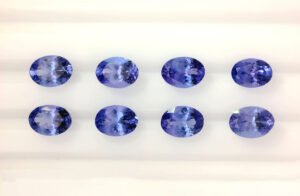 Parcel TAN12 oval dark