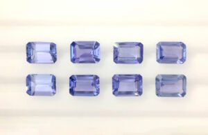 Parcel TAN29 octag light