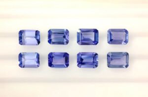 Parcel TAN29 oct med