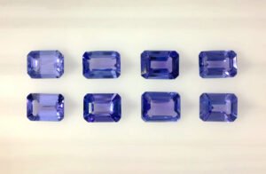 Parcel TAN19 oct dark